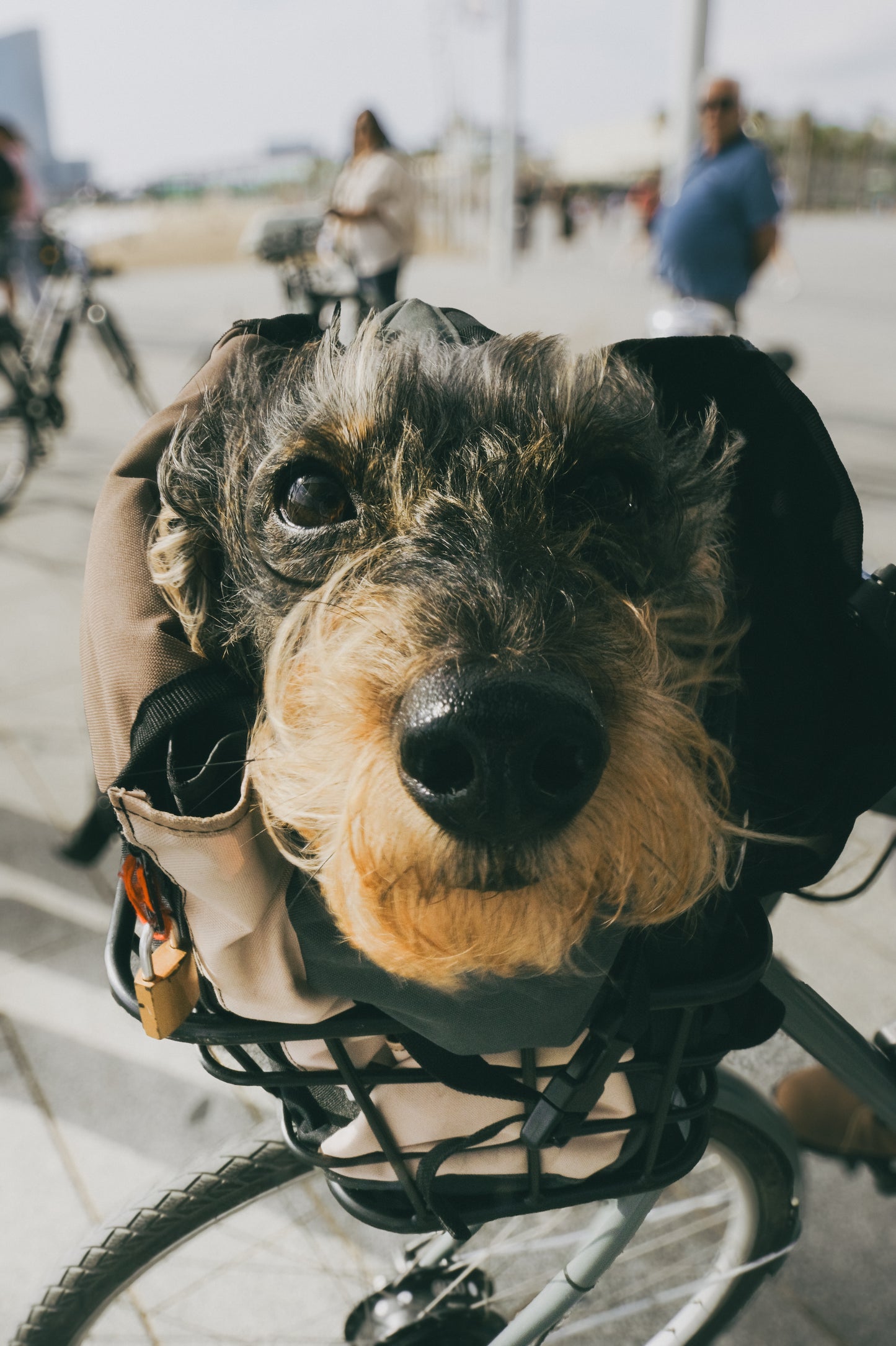 Private Family Bike Tour