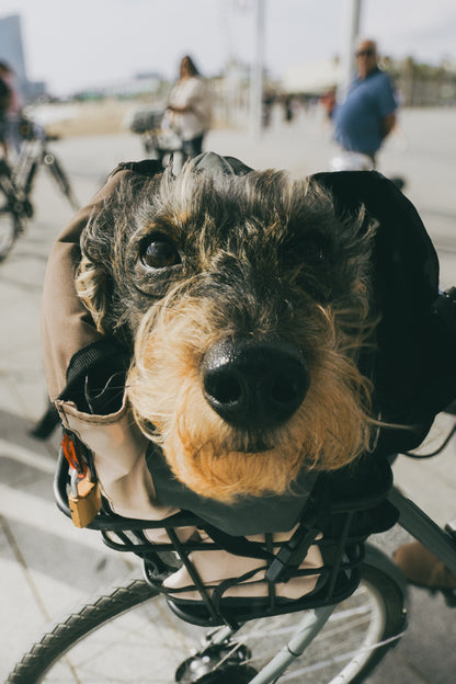Private Family Bike Tour